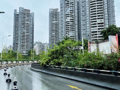 -袁妈红豆汤(重庆总店)