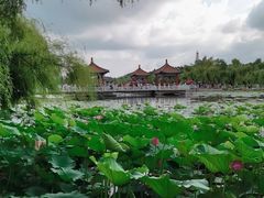 -长春市南湖公园