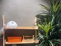 -施奈儿.洗头頭療.按摩SPA.采耳(上梅林店)