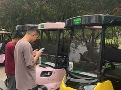 -广东花都湖国家湿地公园