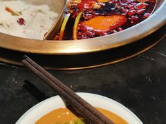 -杨家火锅(国美店)