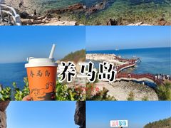 -养马岛旅游度假区