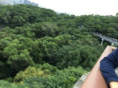 -金鸡山公园