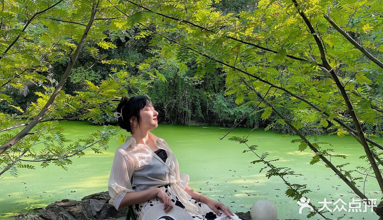 咖啡日常|绿意景浓的绿狗咖啡
