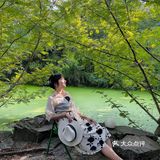 咖啡日常|绿意景浓的绿狗咖啡