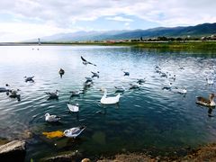 -青海湖国家重点风景名胜区