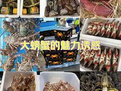 -京深海鲜市场(光彩路店)