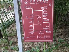 -洛阳白马寺