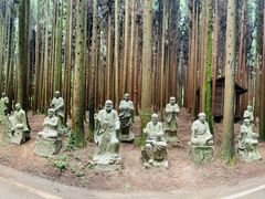 -武陵山森林公园