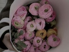 -双季花艺园艺市场(浦东店)