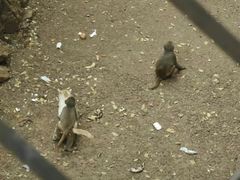 -昆明动物园