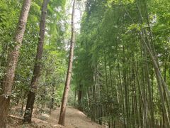 -九龙潭景区