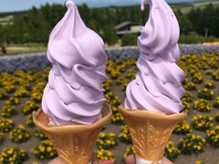 -富田农场