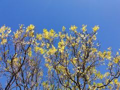 -北京京辉高尔夫俱乐部有限公司