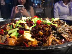 -老板恋上鱼(恒隆广场店)