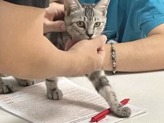 -艾贝尔宠物医院 ·中兽医·宠保定点(北门桥店)