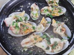 象鼻螺-万尾农贸市场
