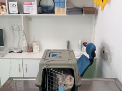 -汪喵宠物医院·骨科心脏影像·犬猫急重症ICU诊疗中心(成华分院)