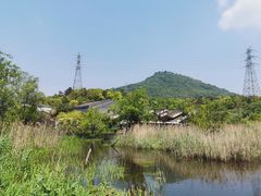 -西湖风景区-江洋畈生态公园