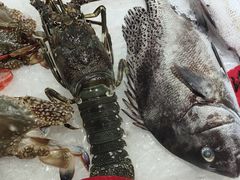 -鱼篮仔·潮汕美食(圆明新园店)