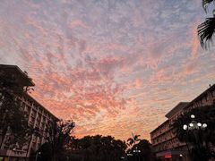 -广西大学(大学东路校区)