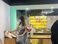 -Husky Go! 哈士奇体验馆·宠物咖啡厅狗咖