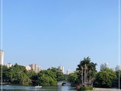 -荔湾湖公园