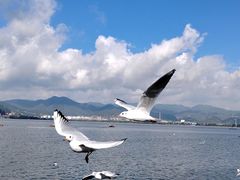-海埂大坝