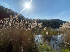 -南京市无想山景区