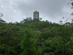 -深圳国际园林花卉博览园