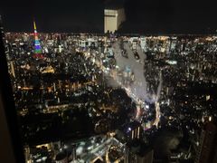 -六本木新城展望台(东京城市景观)