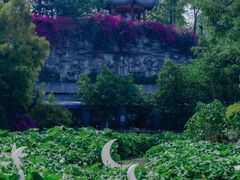 -成都市文化公园