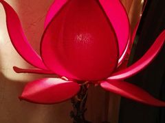 -汤泉良子.足疗按摩.SPA(中关村店)