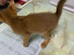 -百信宠物医院(东升街店)