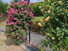 -上海交通大学(闵行校区)