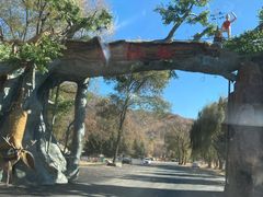 -参仙谷生态旅游度假区