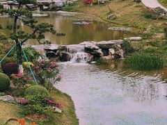 -东莞植物园