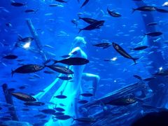 -海合安青岛极地海洋公园