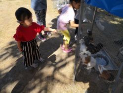 -萌宠亲子动物乐园(槐房万达店)