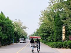 -日照海滨国家森林公园