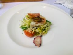 -蝶舍·MAISON PAPILLON