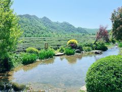 -中国茶叶博物馆(双峰馆区)