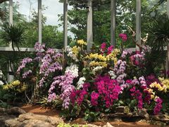 -上海植物园-4号门售票处