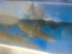 -小铜锣湾海鲜家常菜馆(河西店)