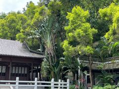 -深圳国际园林花卉博览园