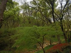 -句容茅山景区