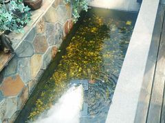 -外婆船宴餐厅·外婆喊你回家吃饭