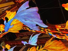 -豫园
