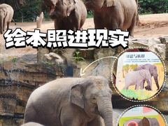 -广州长隆野生动物世界