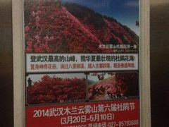 -木兰云雾山